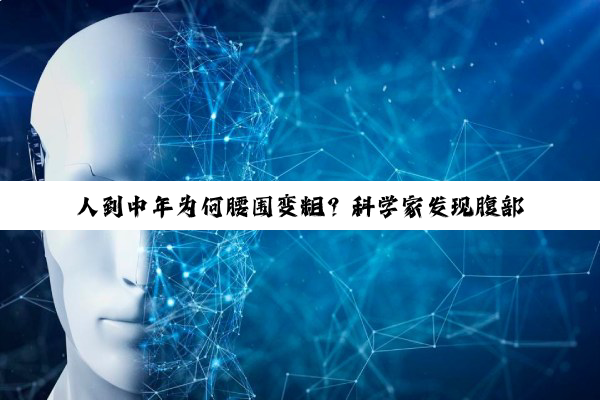人到中年为何腰围变粗？科学家发现腹部脂肪增加的细胞元凶