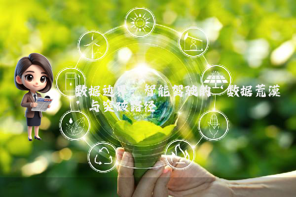 数据边界：智能驾驶的‘数据荒漠’与突破路径