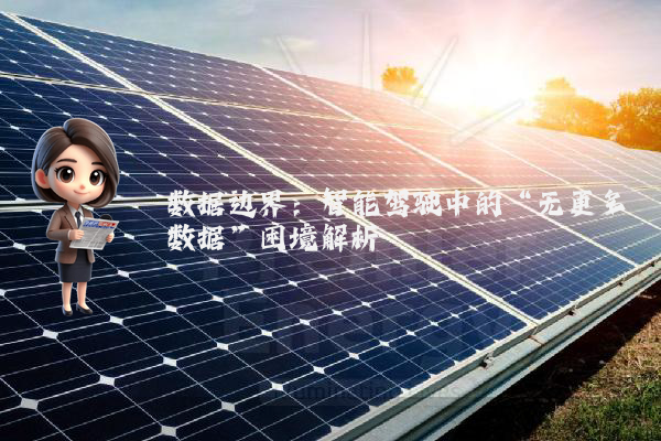 数据边界：智能驾驶中的“无更多数据”困境解析