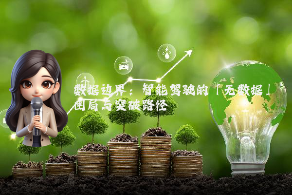 数据边界：智能驾驶的「无数据」困局与突破路径