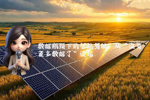 数据瓶颈下的智能驾驶：从“没有更多数据了”谈起