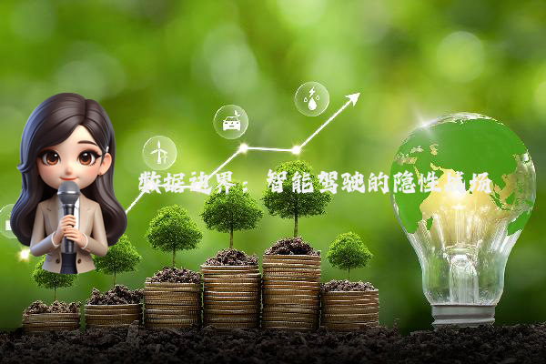 数据边界：智能驾驶的隐性战场