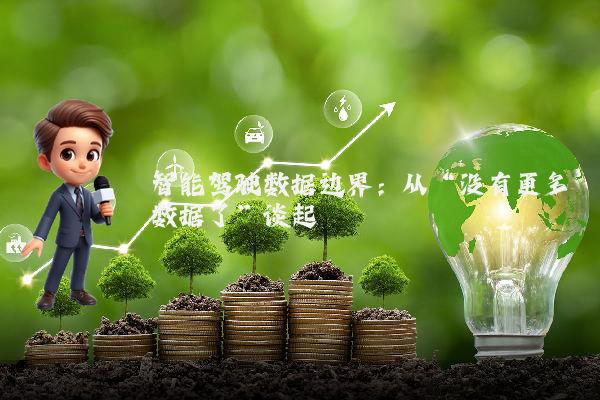 智能驾驶数据边界：从“没有更多数据了”谈起