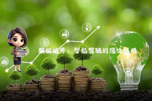 数据边界：智能驾驶的隐性战场